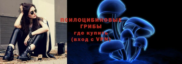 PSILOCYBIN Вязьма