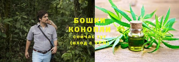 PSILOCYBIN Вязьма