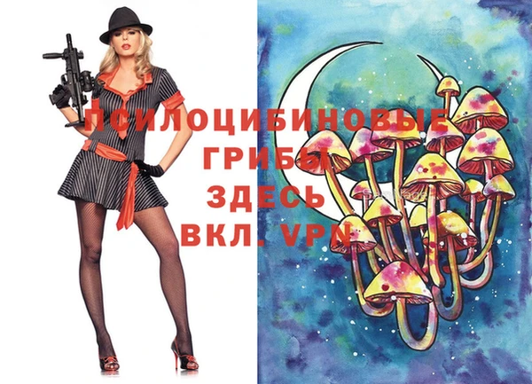 героин Вяземский