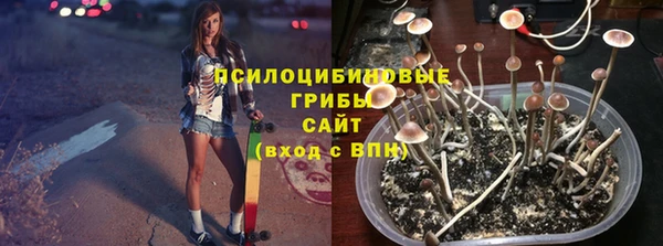 mdpv Володарск