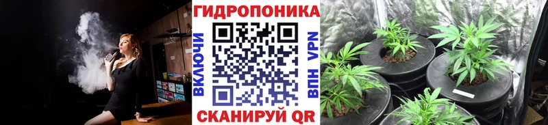 МАРИХУАНА сатива  где продают   kraken как войти  сайты даркнета какой сайт  Омск 